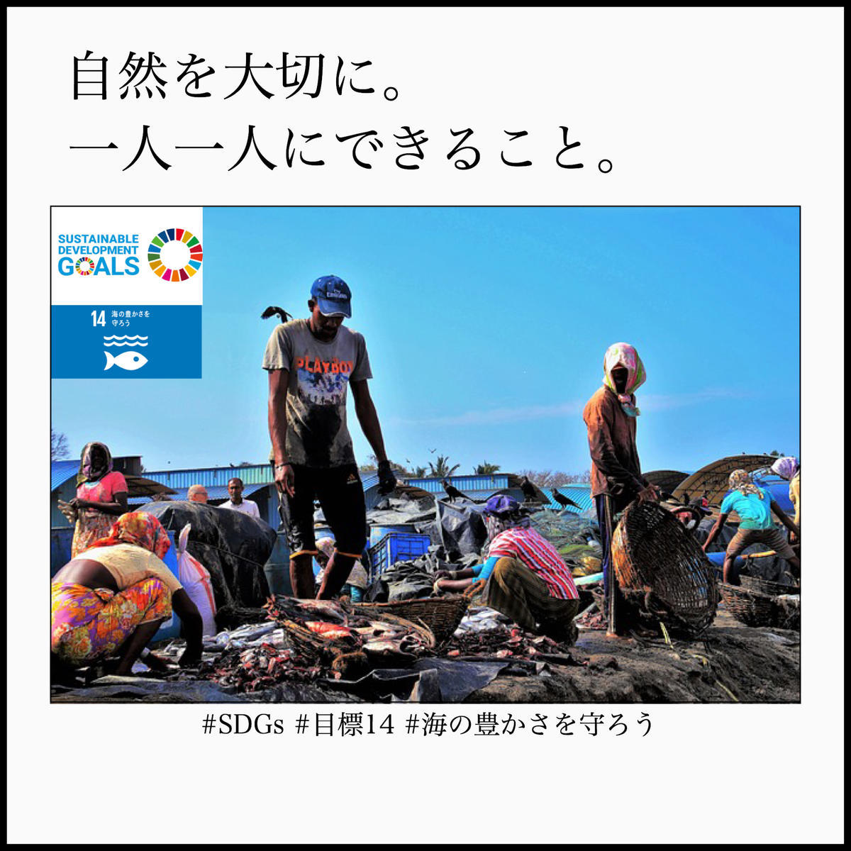 Sdgsの目標14 海の豊かさを守ろう みんなが今日からできることは何だろう 05 18 キャンパスブログ 東京都 東京秋葉原キャンパス 通信制高校ならktcおおぞら高等学院