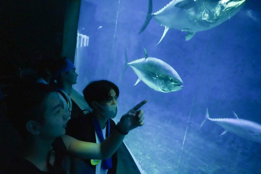 葛西水族園の様子