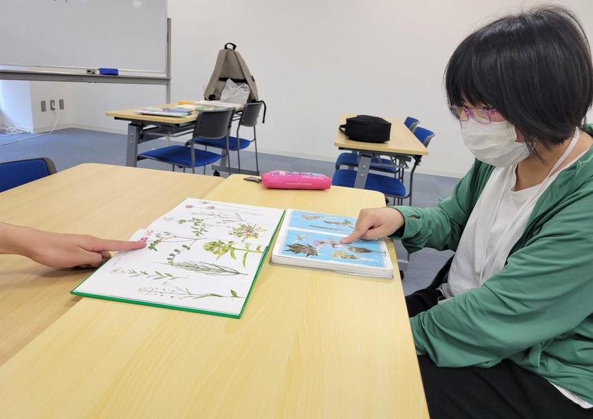 春の押し花を調べています