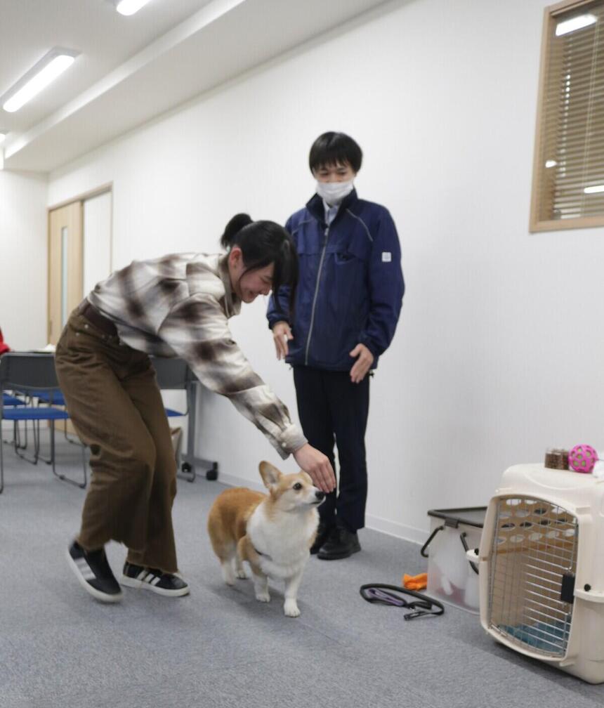 生徒と犬