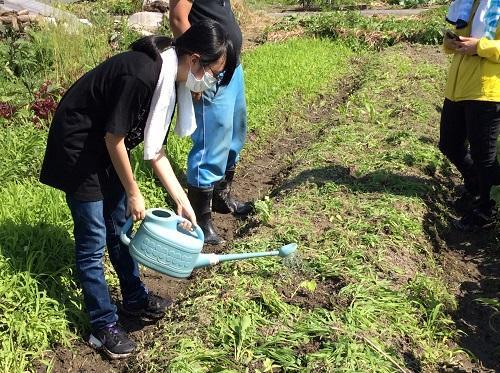 みらかけ 石原農園に農業体験に行ってきました 07 06 キャンパスブログ 岡山県 倉敷キャンパス おおぞら高等学院 おおぞら高校