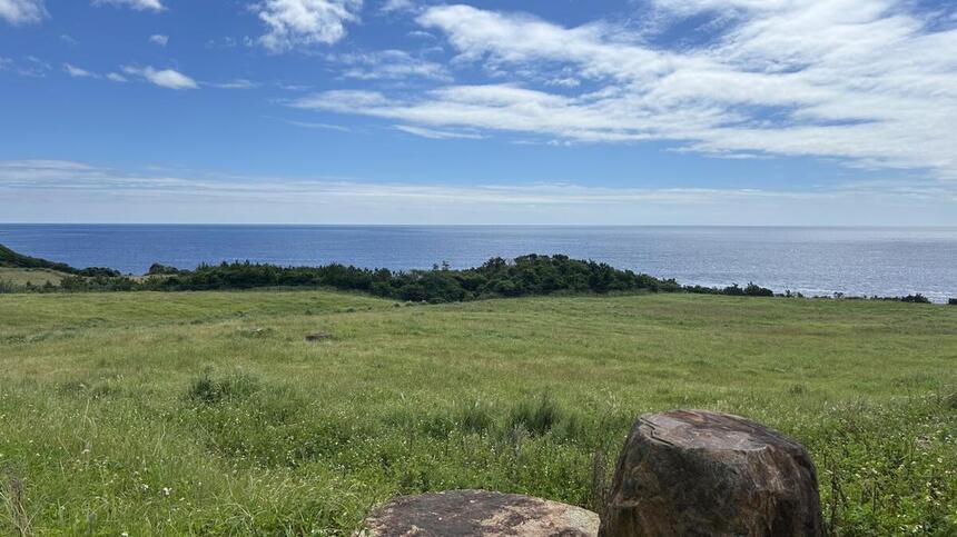 屋久島の写真