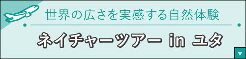 ネイチャーツアーユタ